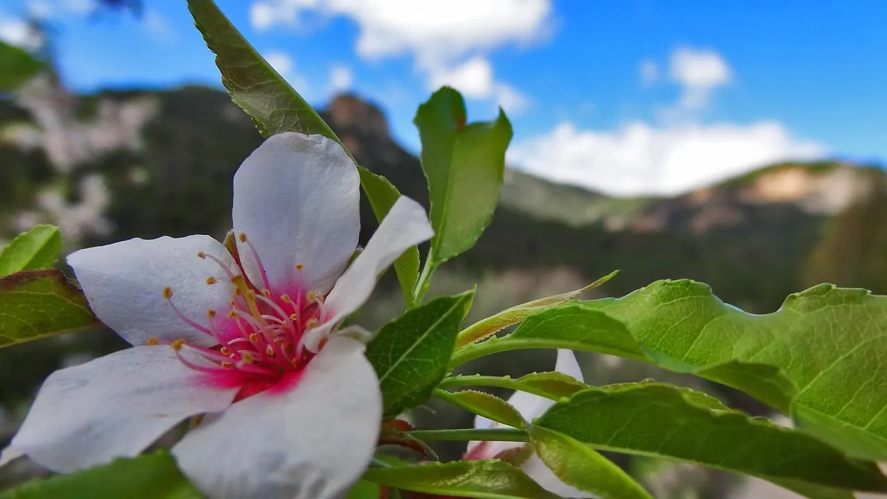 B&B Wild Sardinia Domusnovas